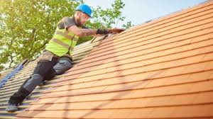 Best Roof Maintenance and Cleaning  in Kenosha, WI