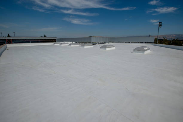 Best Chimney Flashing Repair  in Kenosha, WI