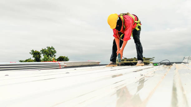 Best Gutter Installation and Repair  in Kenosha, WI