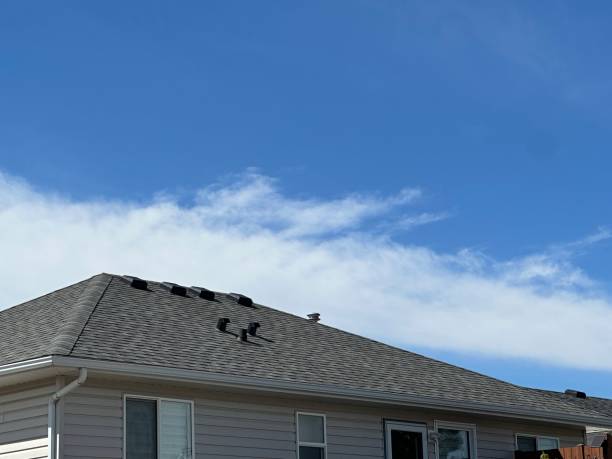 Best Roof Leak Repair  in Kenosha, WI